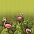 Groothandel stoffen flamingo productfoto 500x500 cr 500x500