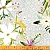 Mirabelleshop be Windham Blush blooms flowers grey 41646 1 cr 500x500