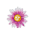 Mirabelleshop be Sierknoop houten bloem roze geel b cr 500x500