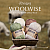 Woolwise Launch Image 2 1
