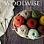 Woolwise Launch Story 1 1